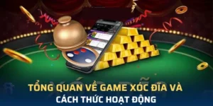 Xóc Đĩa Tại 789WIN: Trải Nghiệm Giải Trí Đỉnh Cao Năm 2025